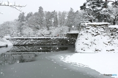 無彩色のなかの紅一点