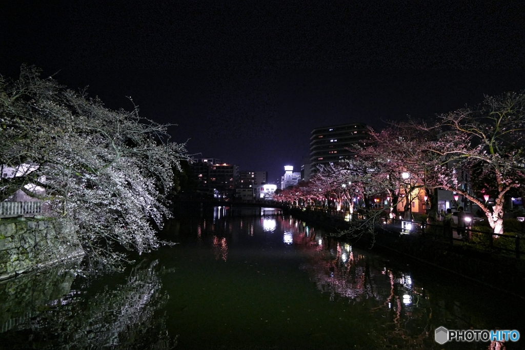 夜の小田原城３