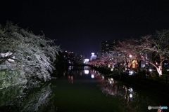 夜の小田原城３