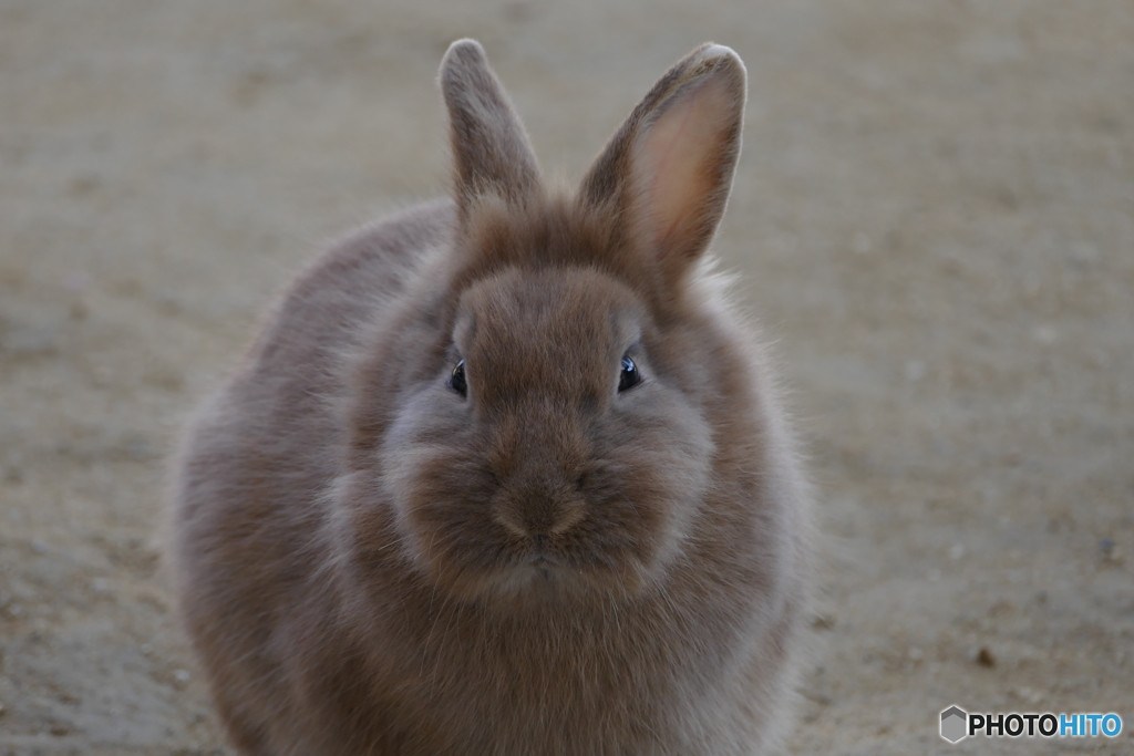 目が合ってしまった(^_^;)