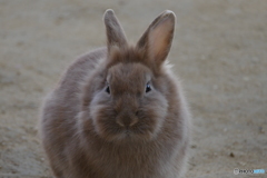 目が合ってしまった(^_^;)