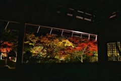 南湖公園 翠楽苑