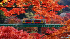 矢祭山 その４