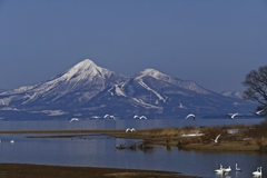 磐梯山と猪苗代湖と白鳥