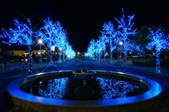 ブルーイルミネーション