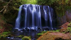 新緑の達沢の滝