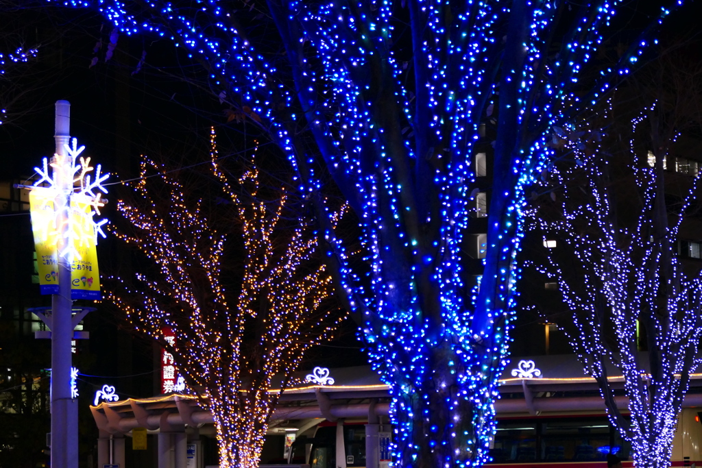 駅前イルミ４
