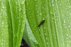 雨のなか②