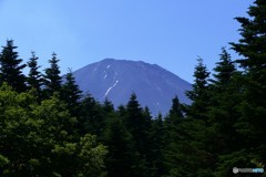富士林道１