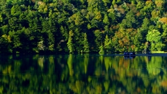 シンメトリー １