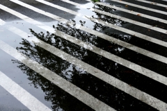 雨上がりの空に