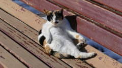 1190665見ないでよ！て、言われてるような(^_^;)