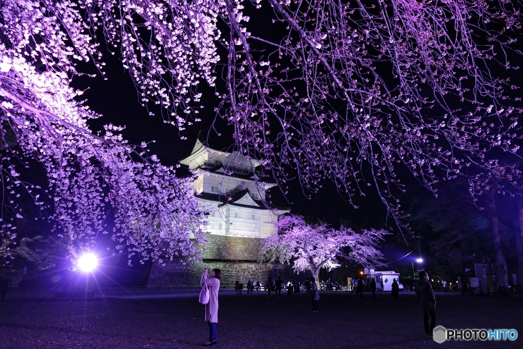 夜の小田原城８