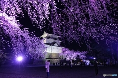夜の小田原城８