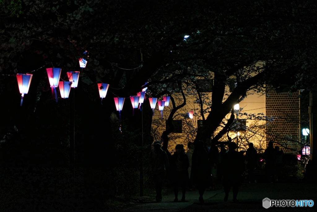 夜の小田原城２