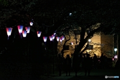 夜の小田原城２