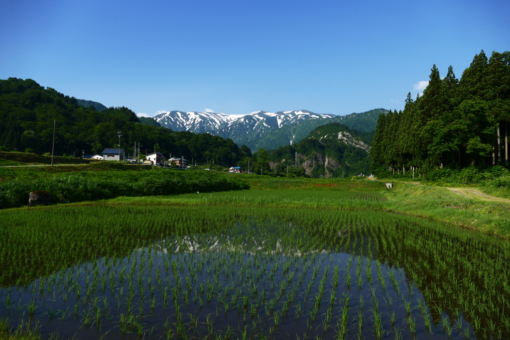 遅き春の飯豊山