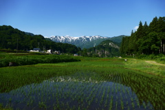 遅き春の飯豊山