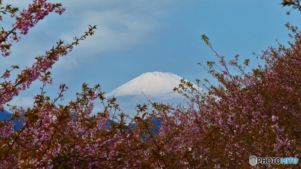 ＠神奈川県松田町