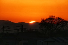 日の出