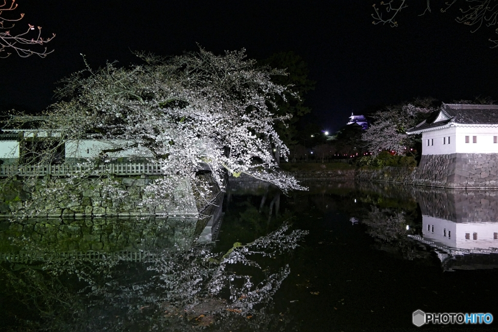 夜の小田原城１