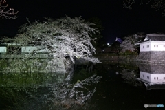 夜の小田原城１