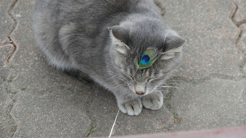 P1150769　＠石筵ふれあい牧場