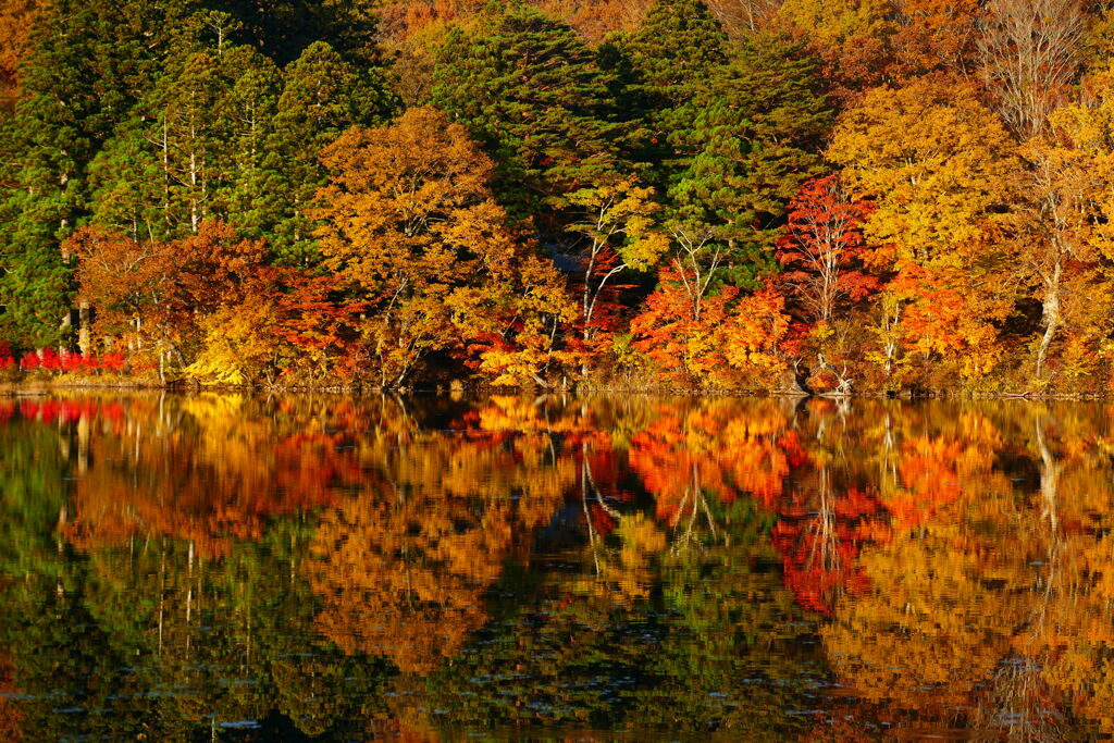 観音沼森林公園２