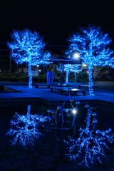 ブルーイルミネーション