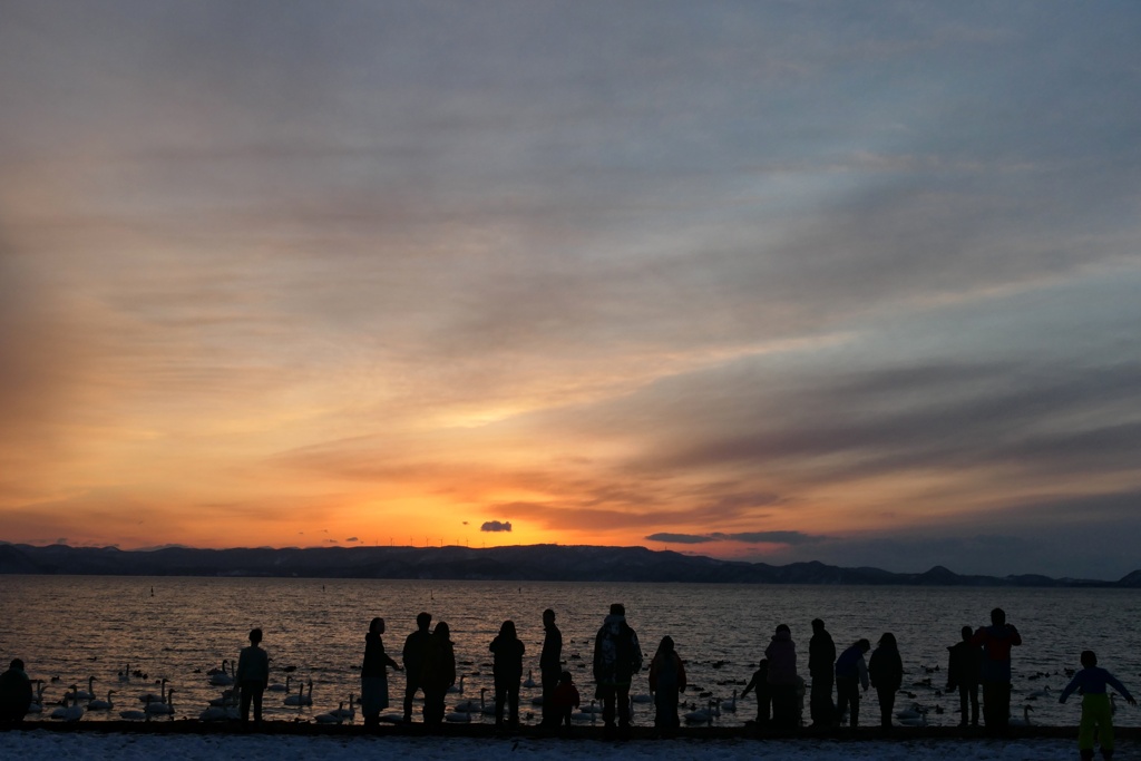 夕景④
