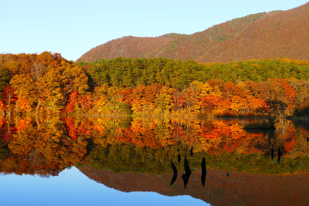 観音沼森林公園７