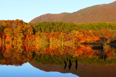 観音沼森林公園７