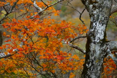 スカイライン２