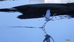 いま飛び立つとき