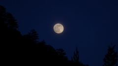 もしかして満月？