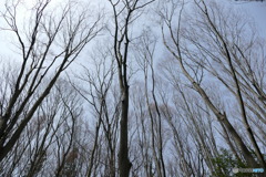 真っ直ぐに