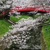翠ヶ丘公園③