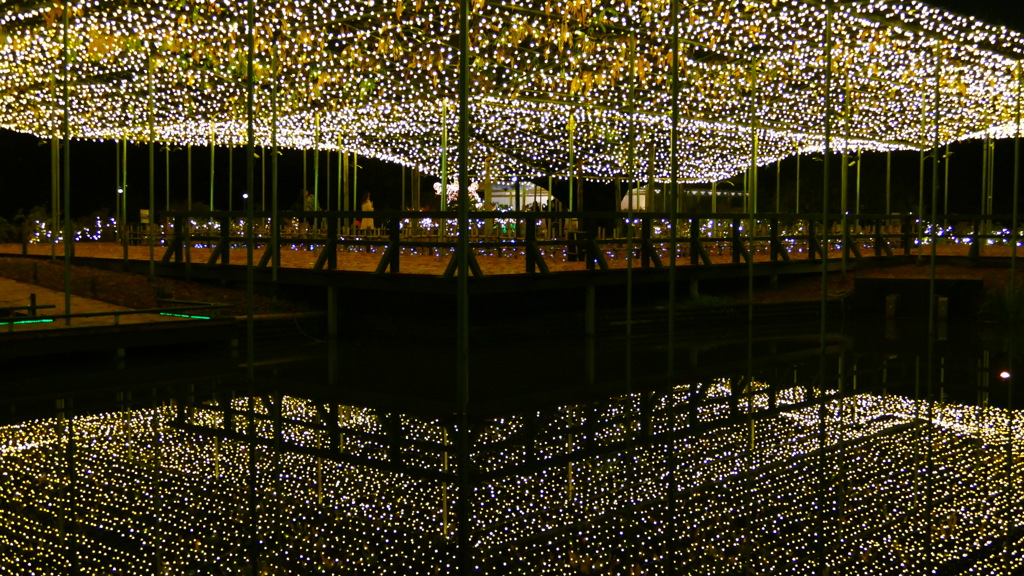 1170690@足利フラワーパーク