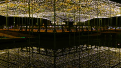 1170690@足利フラワーパーク