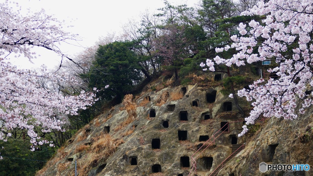 ＠埼玉県吉見百穴