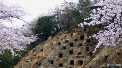 ＠埼玉県吉見百穴