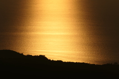 黄金色の夕景