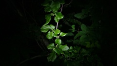 闇に浮かぶ・・・