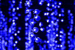 イルミネーション２