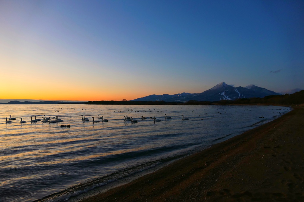 磐梯山と白鳥と