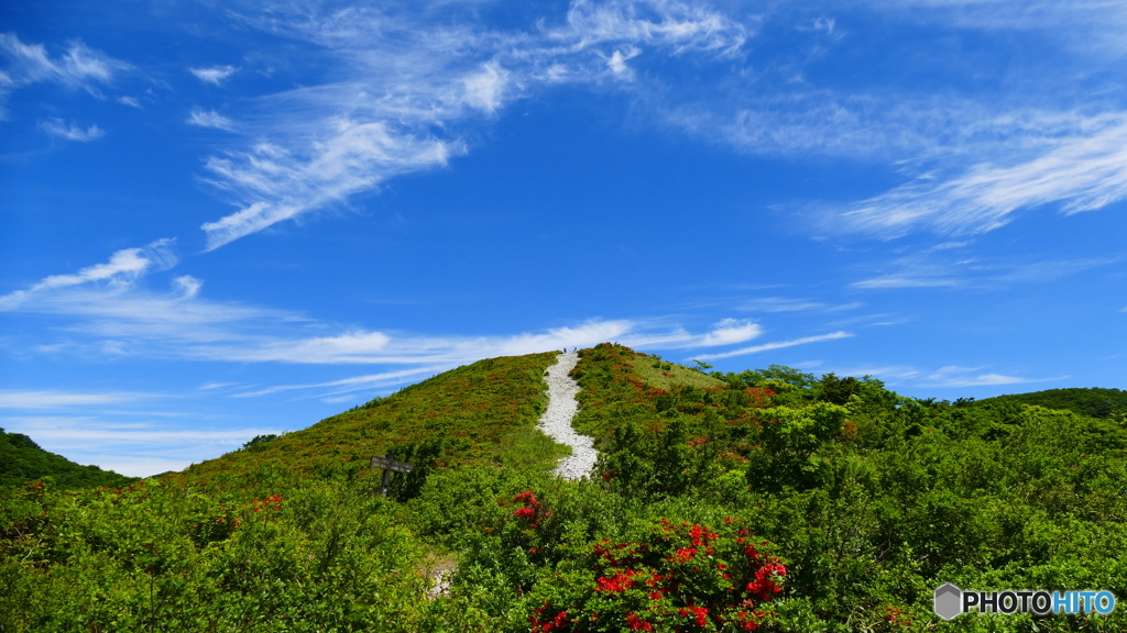 ハイキング日和