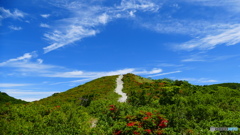 ハイキング日和