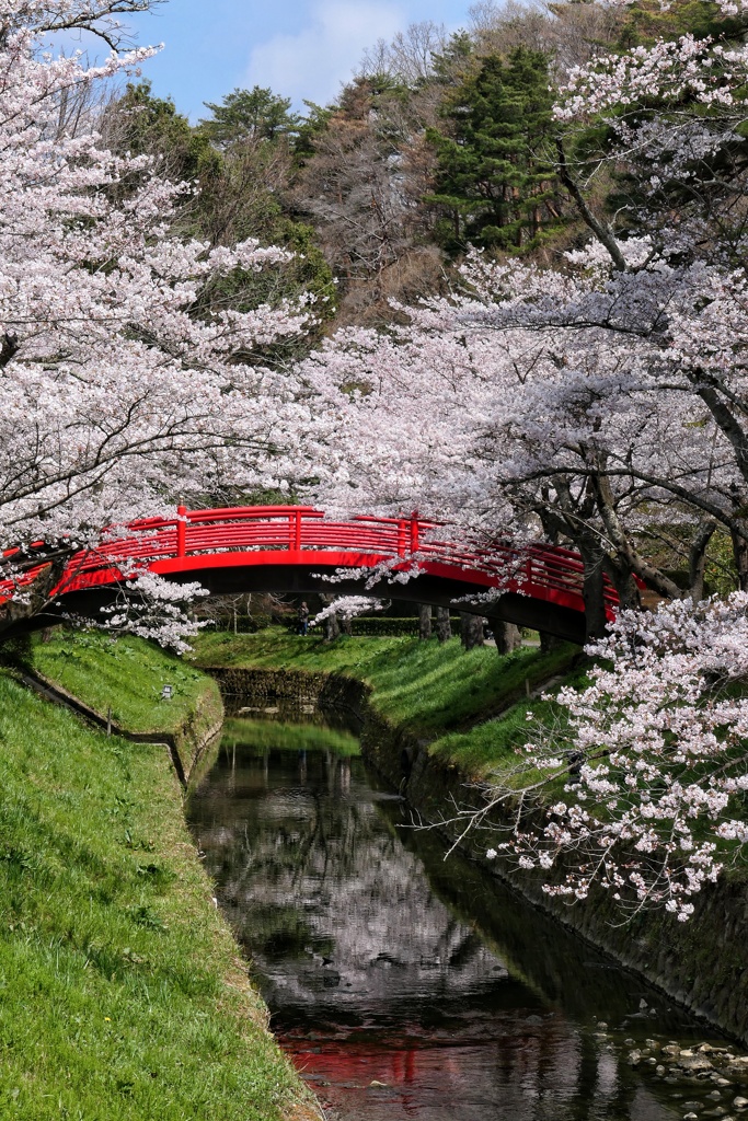 翠ヶ丘公園②