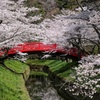 翠ヶ丘公園②