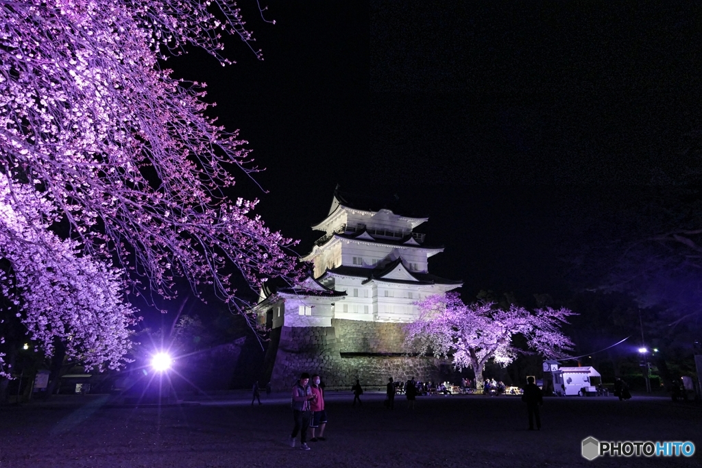 夜の小田原城６
